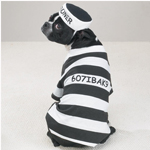 dangerous character's